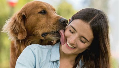 mujer follando con perro|Perro se folla a una chica de una manera muy apasionada